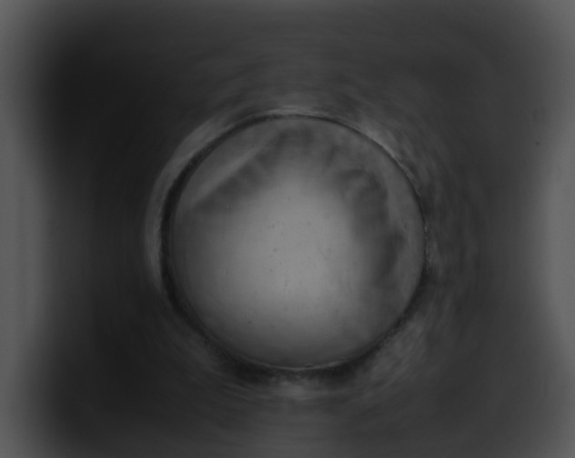 X0000099980199200806061530