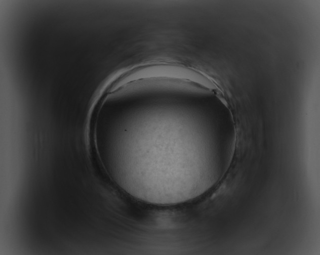 X0000099980200200806061530