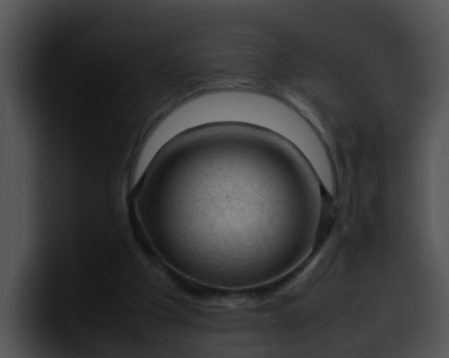 X0000099980201200806061530