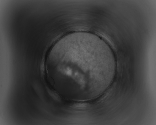 X0000099980202200806061530