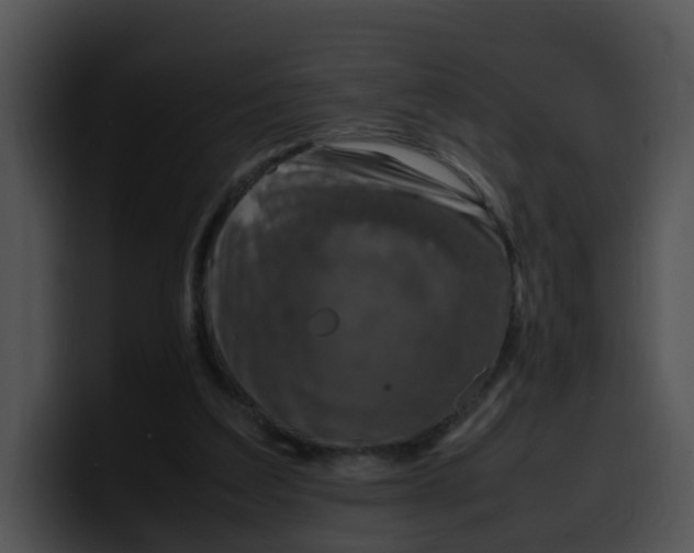 X0000099980203200806061530