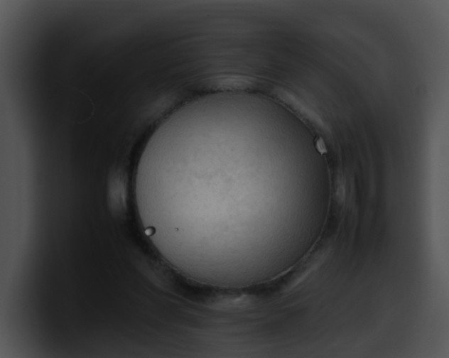 X0000099980206200806061530