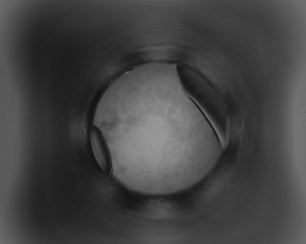 X0000099980207200806061530