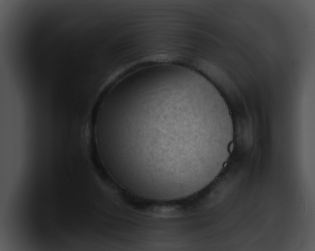 X0000099980208200806061530