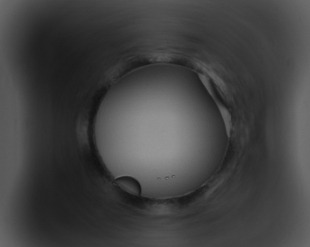 X0000099980209200806061530