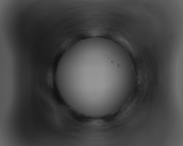 X0000099980210200806061530