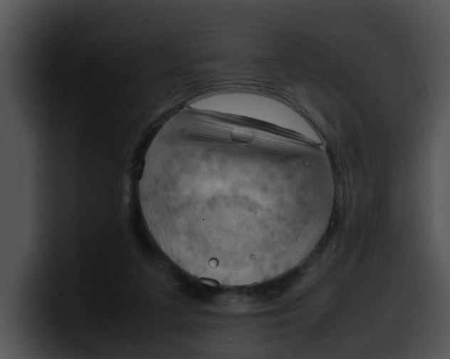 X0000099980211200806061530