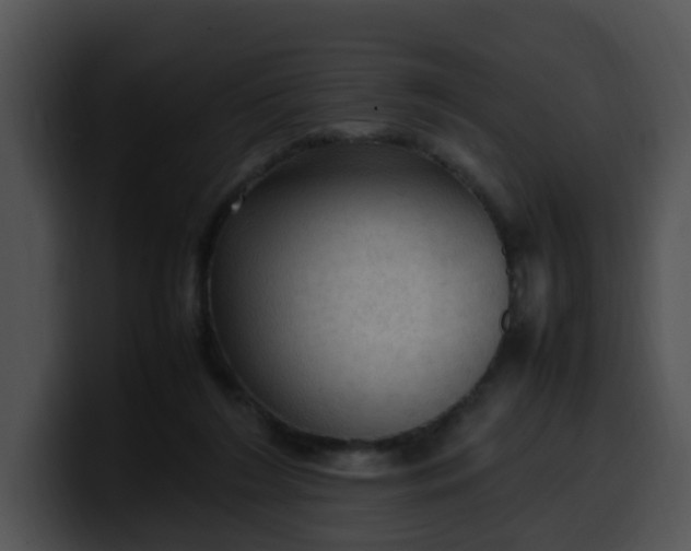 X0000099980212200806061530