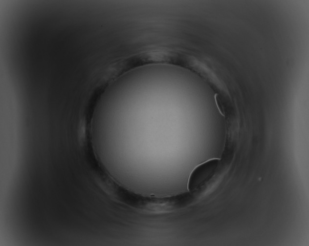 X0000099980213200806061530