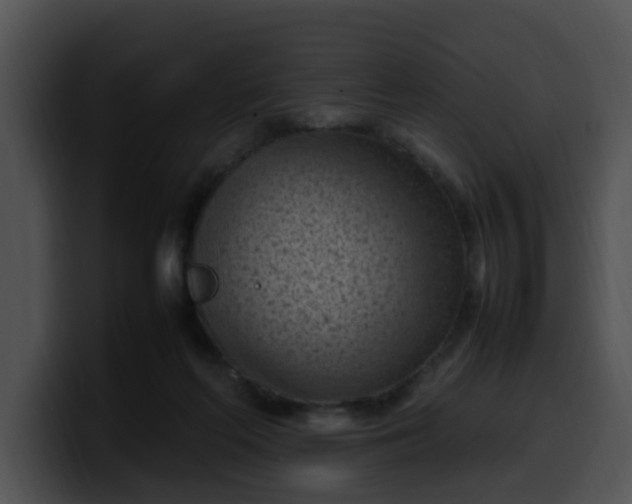 X0000099980214200806061530