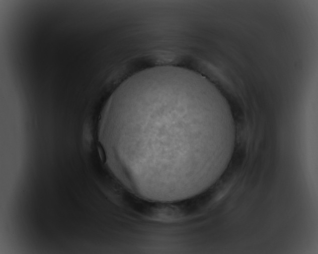 X0000099980215200806061530