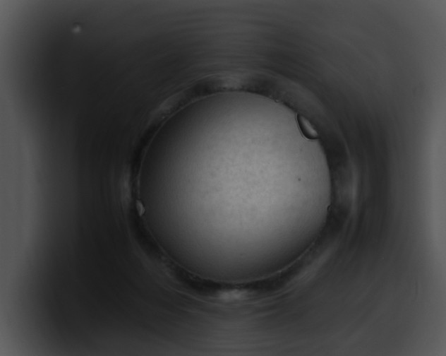 X0000099980216200806061530