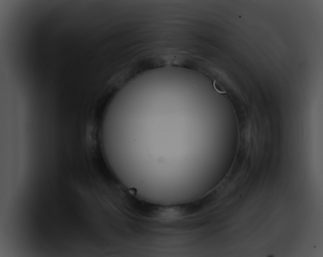 X0000099980218200806061530