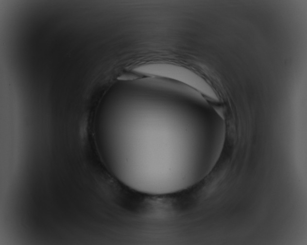 X0000099980221200806061530