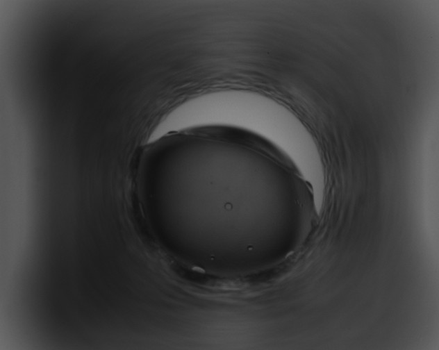 X0000099980223200806061530