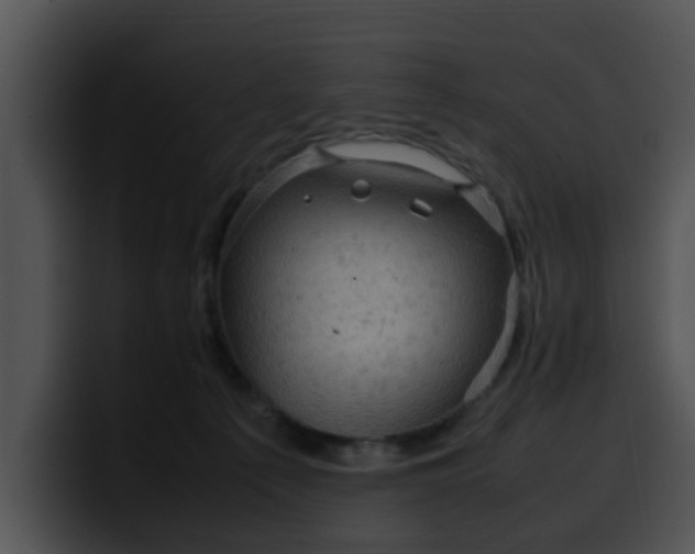 X0000099980225200806061530