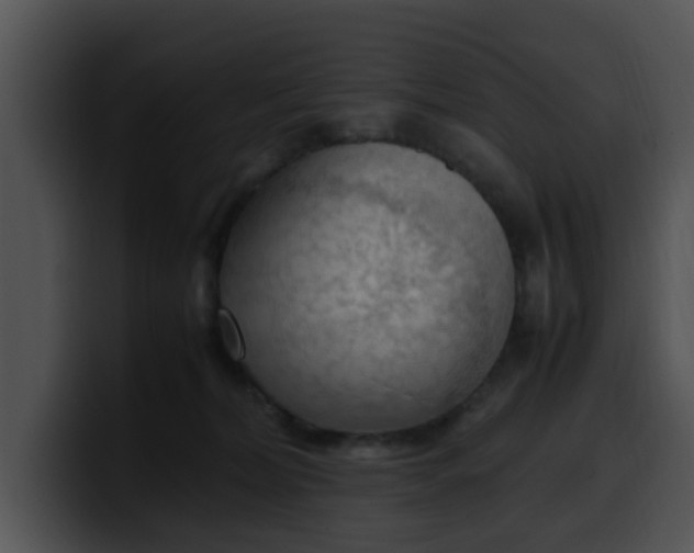 X0000099980228200806061530