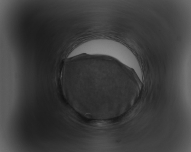 X0000099980229200806061530