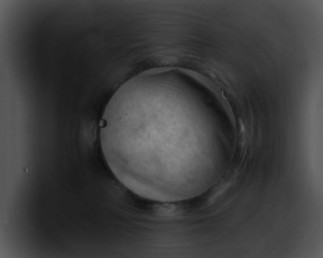 X0000099980230200806061530