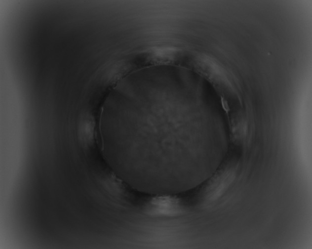 X0000099980231200806061530