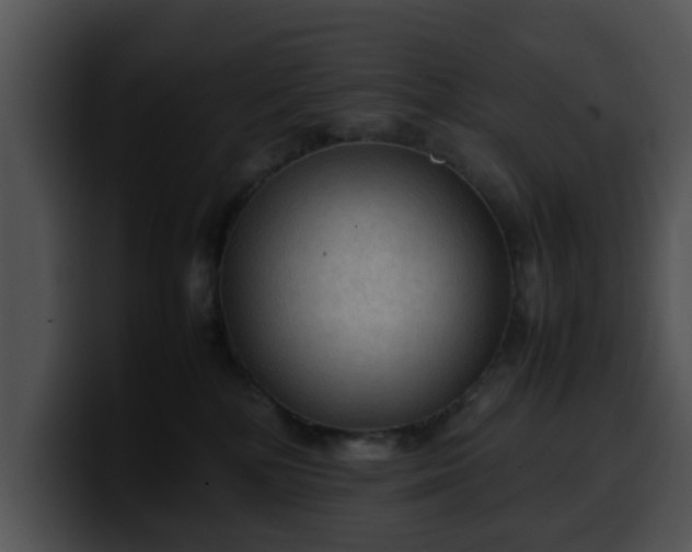 X0000099980232200806061530