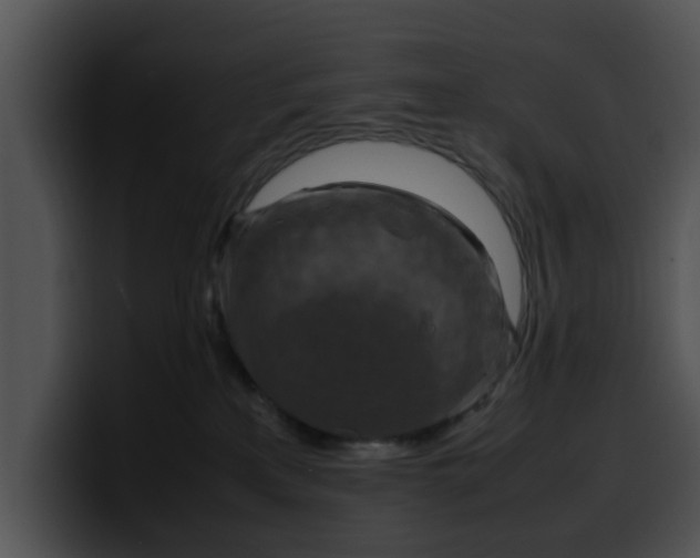 X0000099980233200806061530