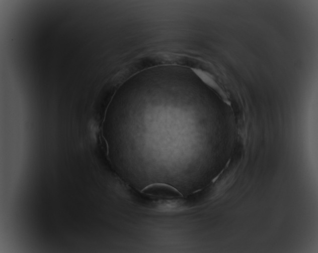 X0000099980235200806061530