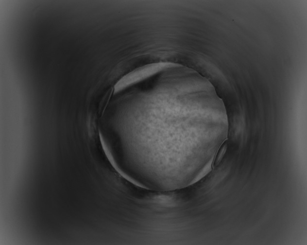 X0000099980236200806061530