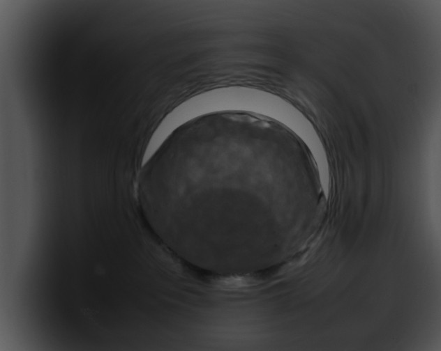 X0000099980237200806061530