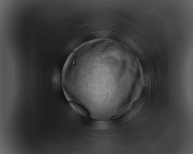 X0000099980238200806061530