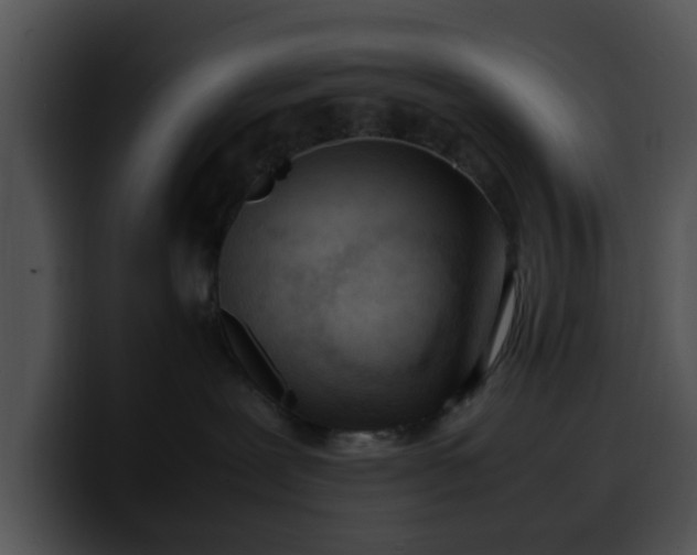 X0000099980239200806061530