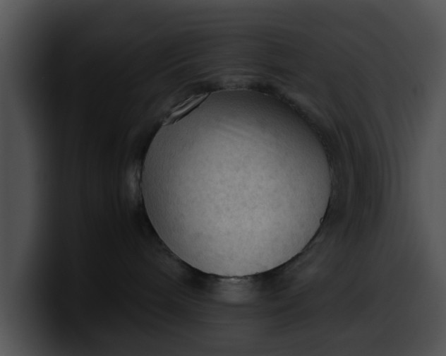 X0000099980240200806061530