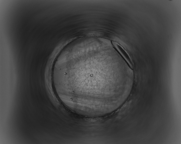 X0000099980241200806061529