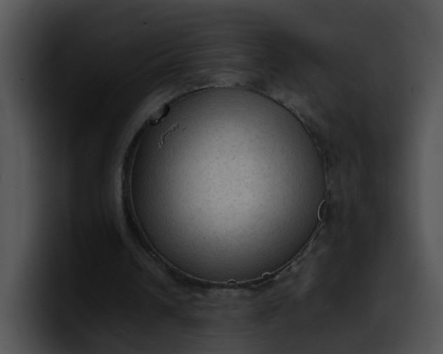 X0000099980242200806061529