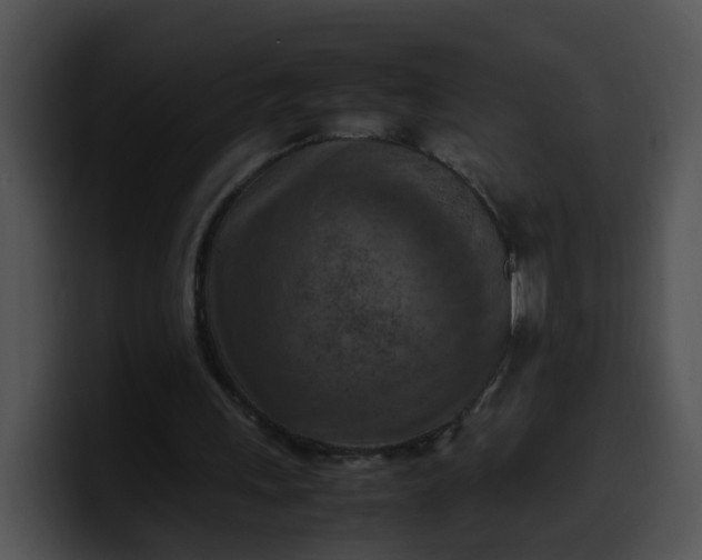 X0000099980243200806061529