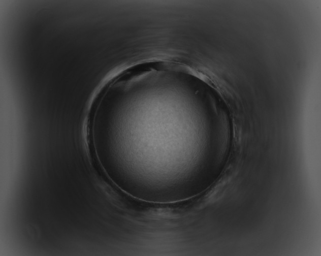 X0000099980244200806061529