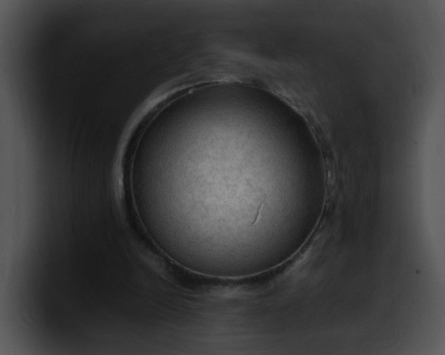 X0000099980246200806061529