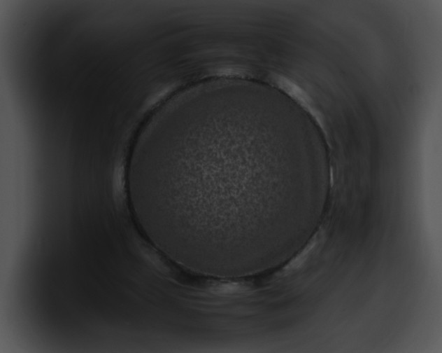 X0000099980249200806061529