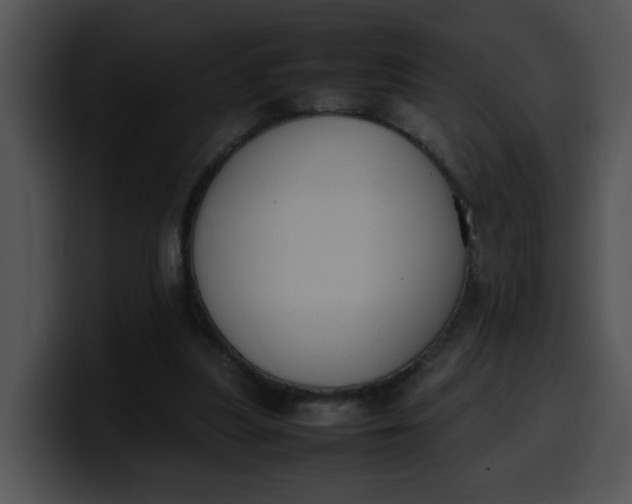 X0000099980251200806061529