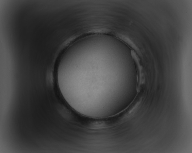 X0000099980252200806061529