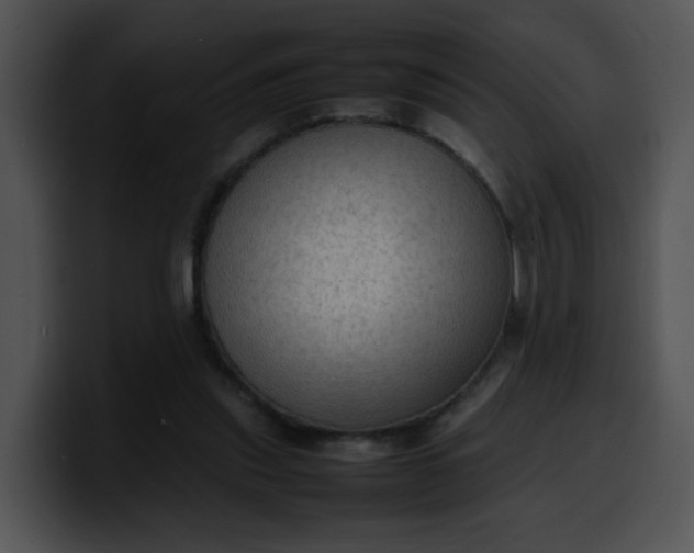 X0000099980253200806061529