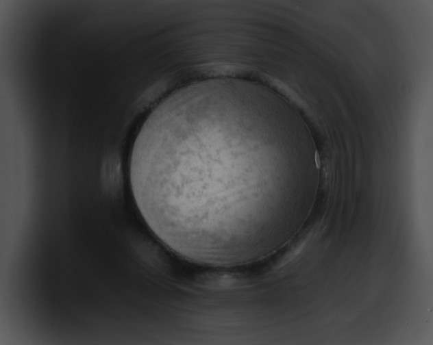 X0000099980254200806061529