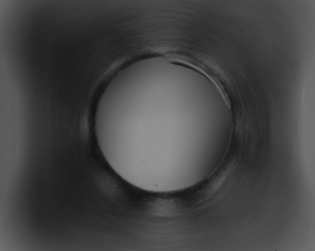 X0000099980256200806061529