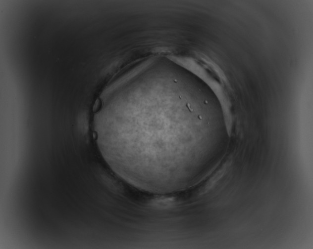 X0000099980257200806061529