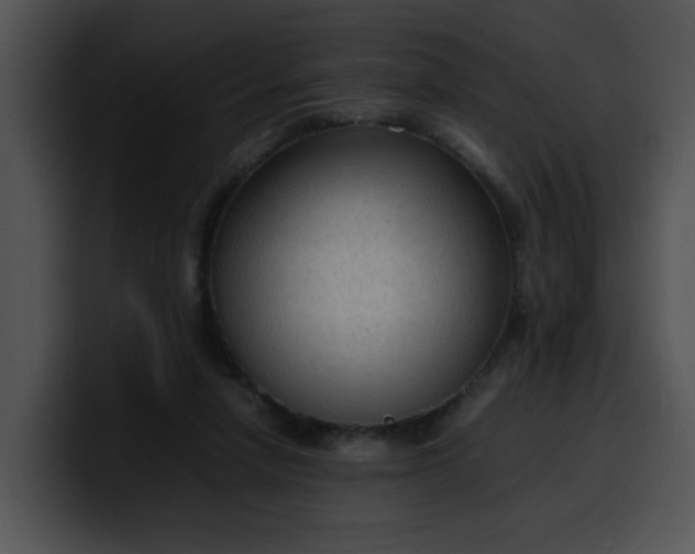 X0000099980258200806061529