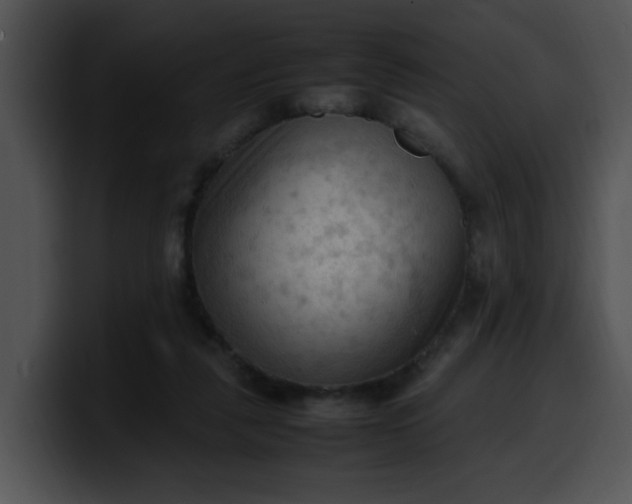 X0000099980259200806061529