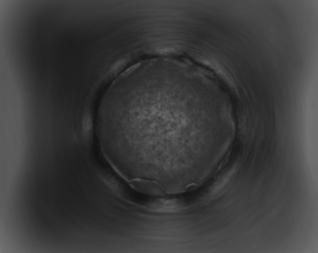 X0000099980260200806061529