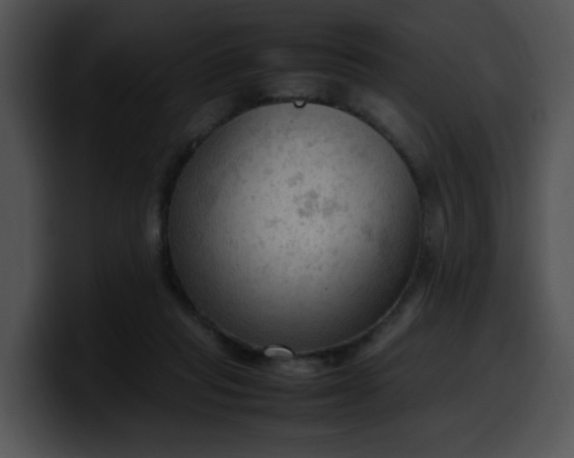 X0000099980261200806061529