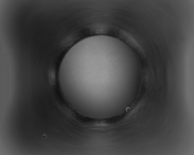 X0000099980262200806061529