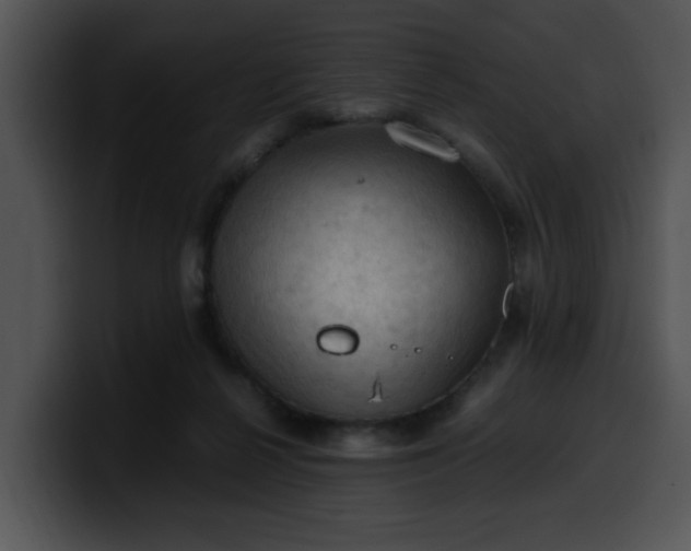 X0000099980264200806061529